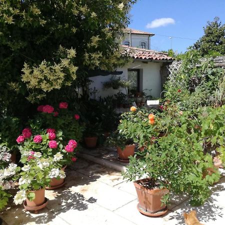 B&B Le Ortensie Castagnole Kültér fotó