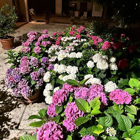 B&B Le Ortensie Castagnole Kültér fotó