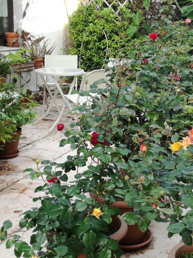 B&B Le Ortensie Castagnole Kültér fotó