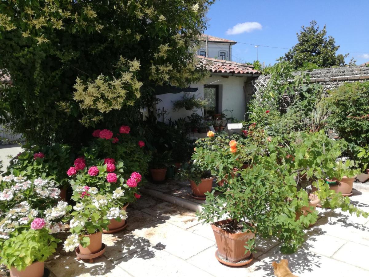 B&B Le Ortensie Castagnole Kültér fotó